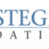 Will steger foundation logo